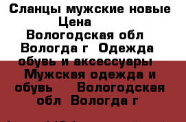 Сланцы мужские новые › Цена ­ 255 - Вологодская обл., Вологда г. Одежда, обувь и аксессуары » Мужская одежда и обувь   . Вологодская обл.,Вологда г.